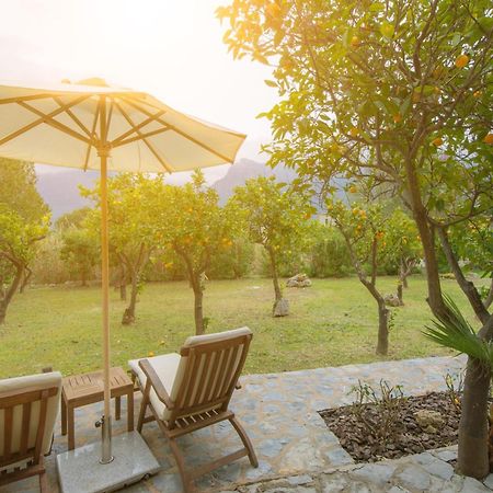 Finca Can Coll Boutique Country House - Adults Only Sóller Exterior foto